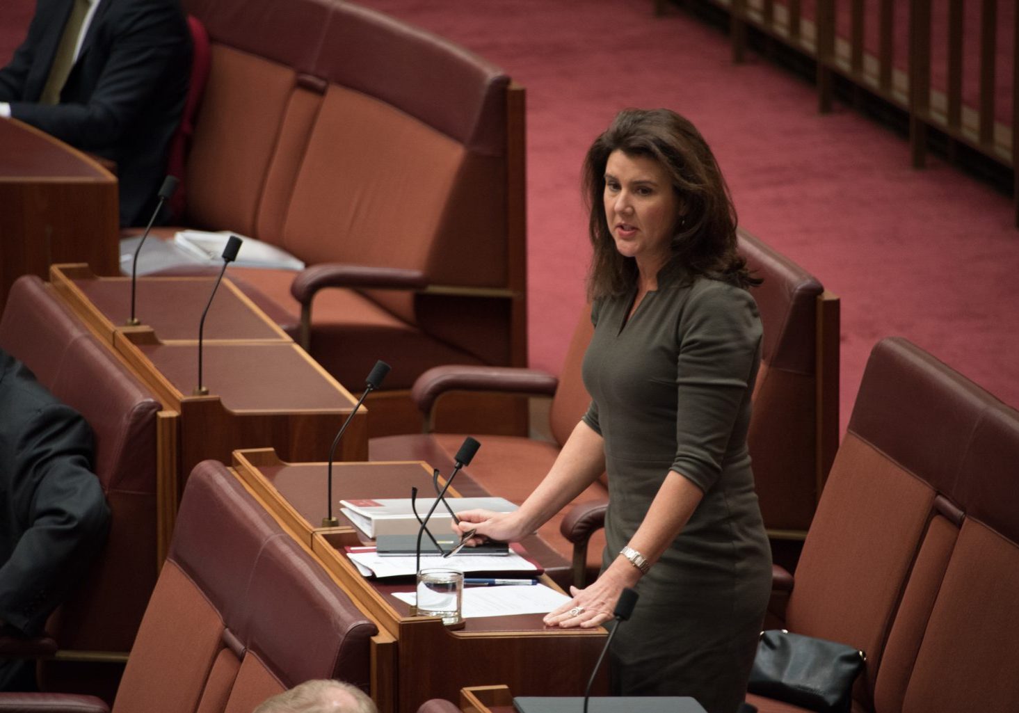 Senator Hume: "My question is to the Minister for Finance, Senator Cormann. This government's commitment to economic growth and employment is irrefutable, but can the minister please explain to the Senate: what are the values and principles that underpin this government's plans for the economy and for jobs? "